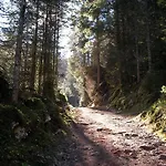 Gaestehaus Attenhauser 3*